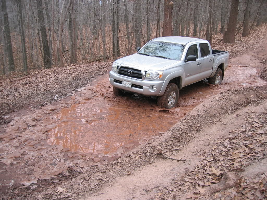 MudPuddle_ba39200624d301fcc3fb866c26f247c58c79c086.jpg