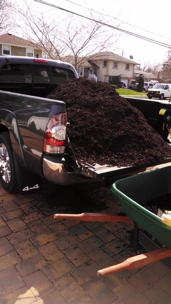 Mulch.jpg