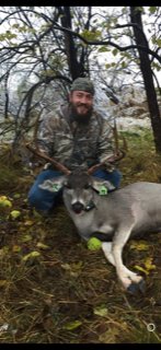 Mule Deer.jpg