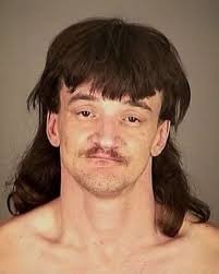 Mullet.jpg