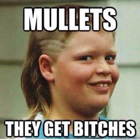 Mullets-They-Get-Bitches-Funny-Picture.jpg