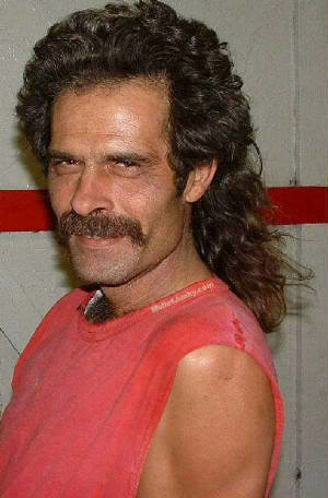 mullets_b940e35e75255106d90f3ac610bcfb8ba850d92f.jpg