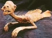 Mummy-Menagerie_photo_medium.jpg