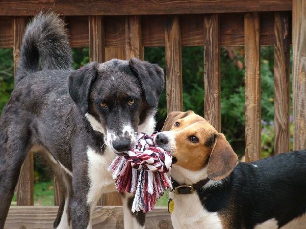 Murphy-Hannah-Rope.jpg