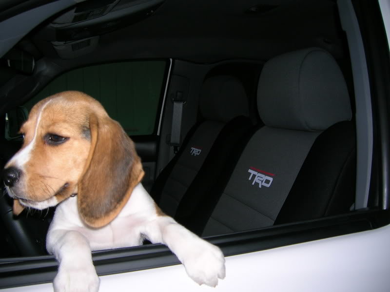 Murphy113_c402941fef04afb37db50f7395df1924a1756653.jpg