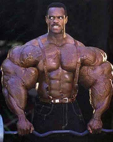 musclebound_b1214fd0a9f415884aa50666b67b3d3ec9902a7a.jpg