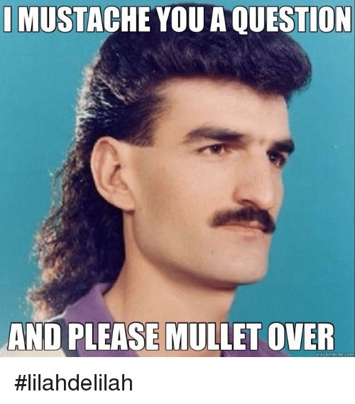 mustache-you-a-question-and-please-mullet-over-com-lilahdelilah-6657533.jpg