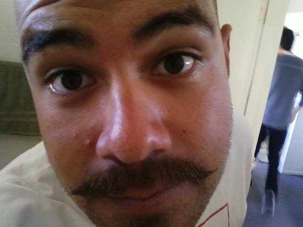 mustachemay_041dac0de16a758de7358b79b0ccdaa8217d5130.jpg