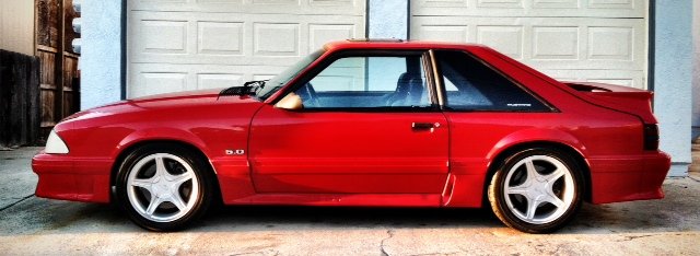 Mustang Avatar.jpg