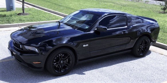 Mustang.jpg