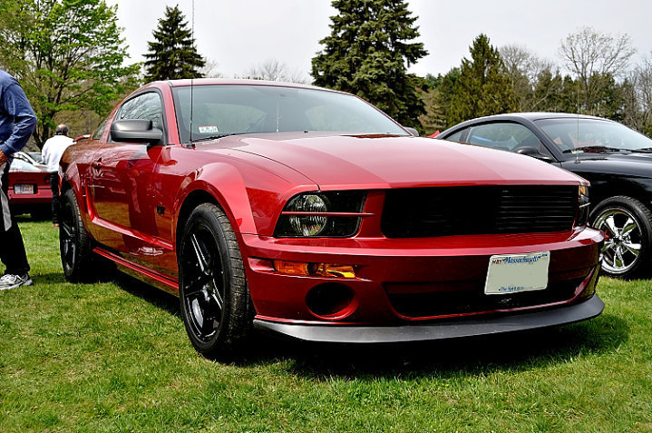 mustang.jpg