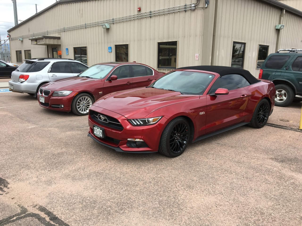 mustang.jpg