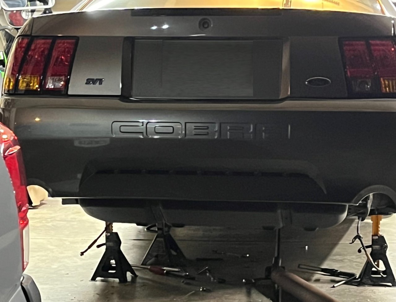 Mustang.jpg