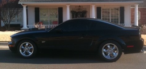 Mustang.jpg