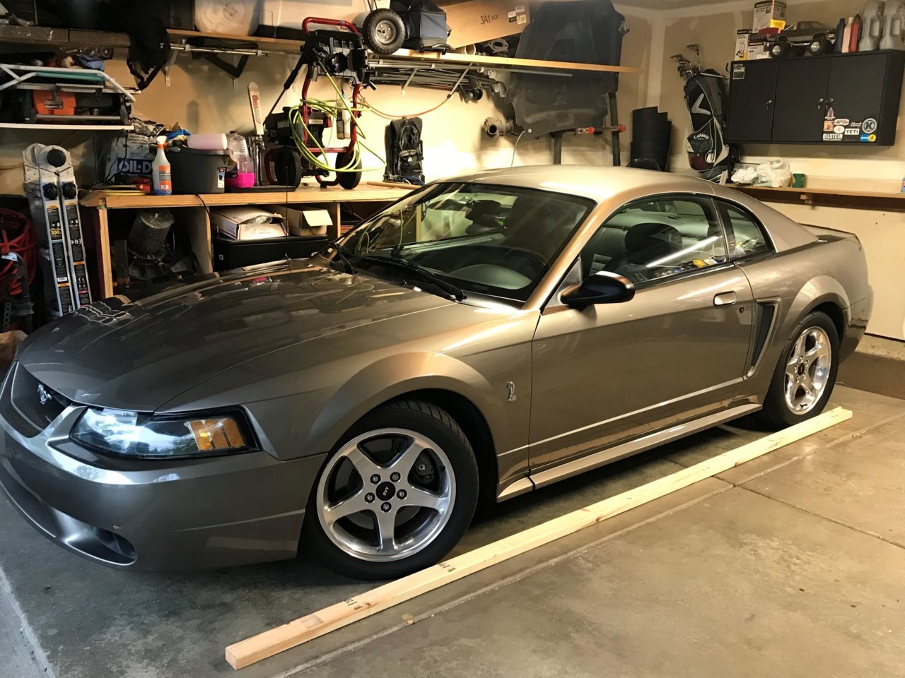 Mustang side.jpg