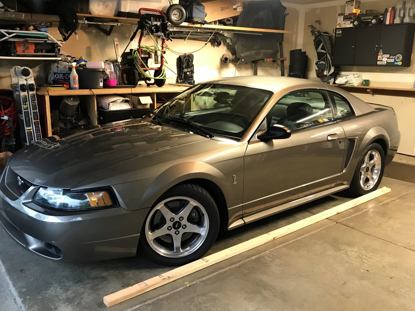 Mustang side.jpg