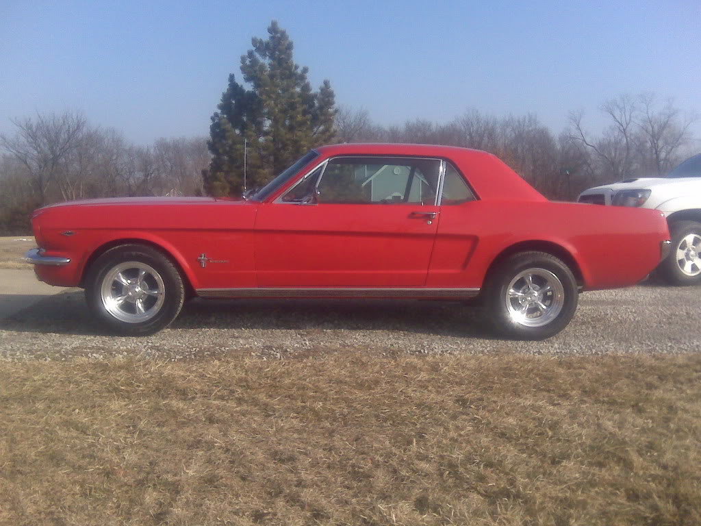 Mustang001_593012fb997a2e1fba86e2485cc578814587d8f3.jpg