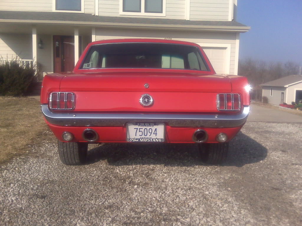 Mustang003_1714307602dc62bb7eb55658da12719dea294c69.jpg
