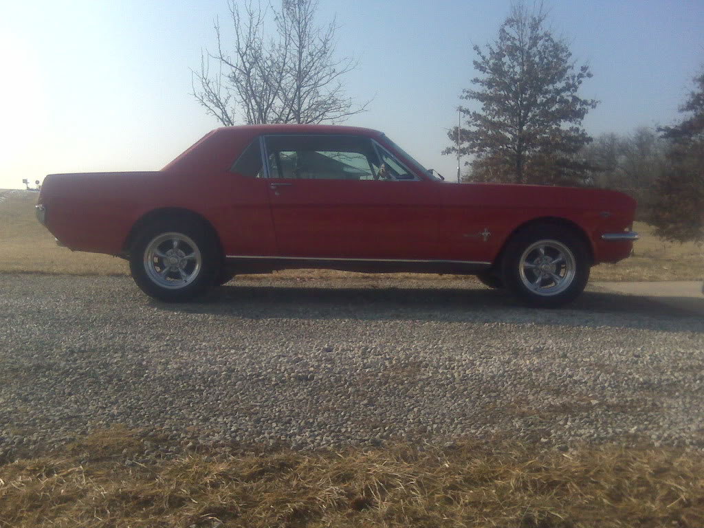 Mustang004_5b8eeec29e029ca97dff502f9bc42cdb62796ff7.jpg