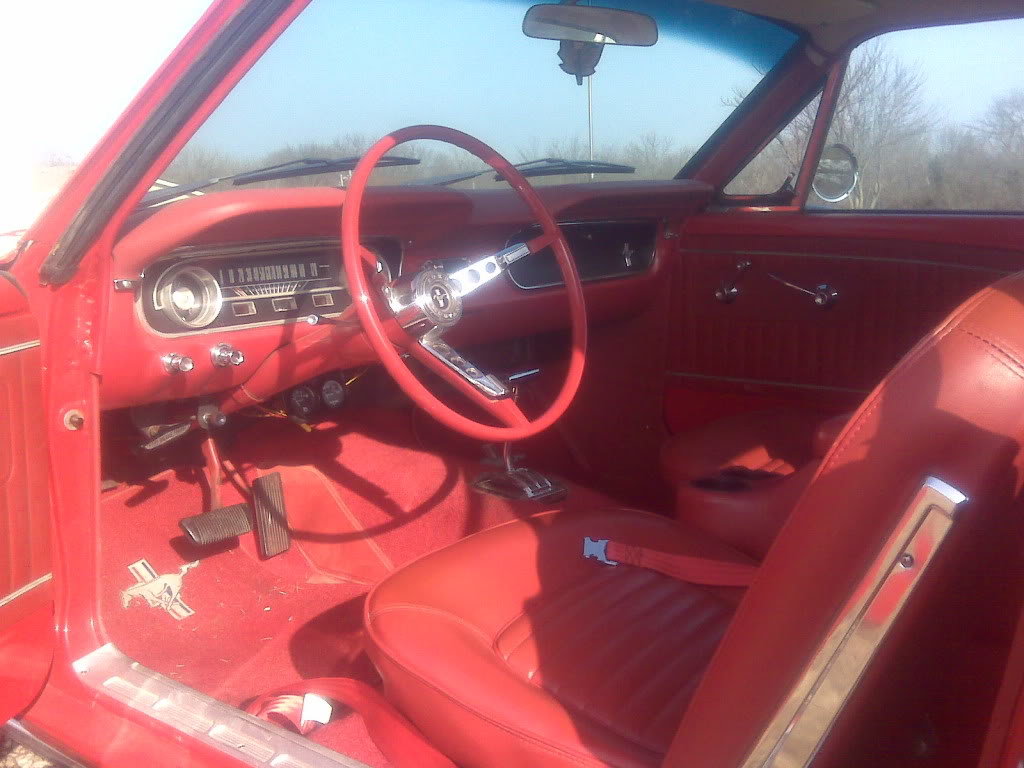 Mustang006_97f7cbc8e225b111a033c527244a90029e639239.jpg