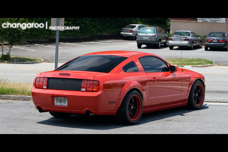 mustang15_94f9b16b91b48c687fd7f227009cf46b6d63c377.jpg