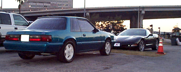 mustang1_37db356eced58a7fa672b7c75c5e8b332e6fcd95.jpg
