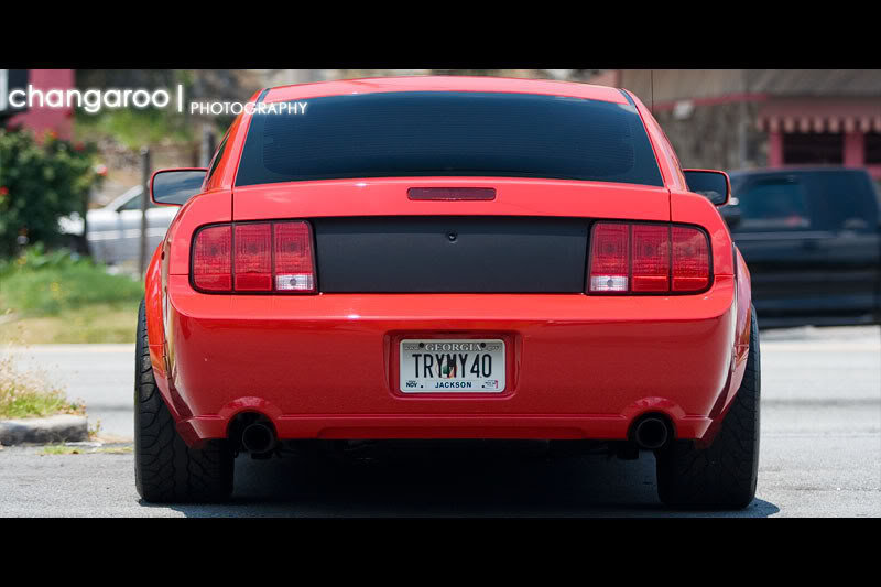 MUSTANG2_a99f66654d8436184a8a7bb9fb6391f401878d55.jpg