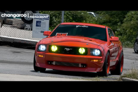 MUSTANG3_49a87a14035c02c5db6d26528883b832a9cd2acd.jpg