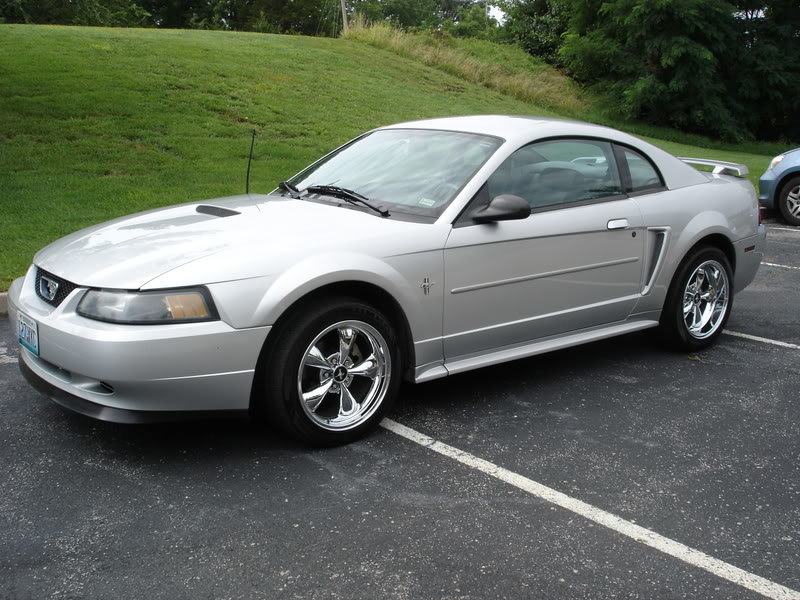 MustangAngle_f8dcc75201aa01409a56c52bfcbfba14c33e72ea.jpg