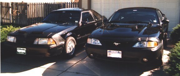 Mustangs.jpg