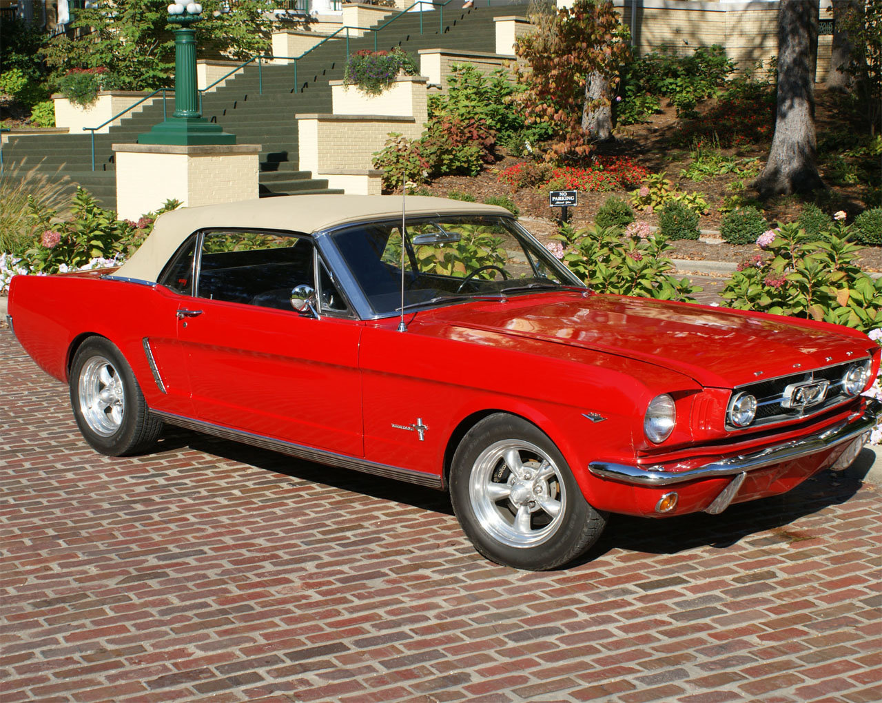 mustangscreen.jpg