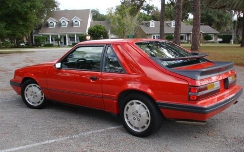 MustangSVO_3.jpg