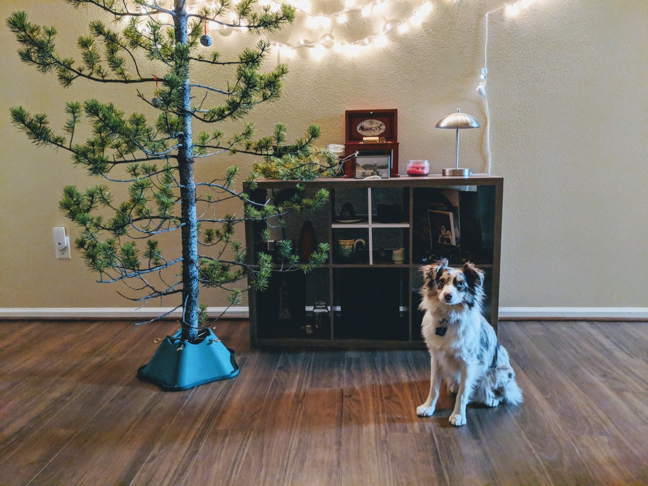 MVIMG_20171204_183406.jpg