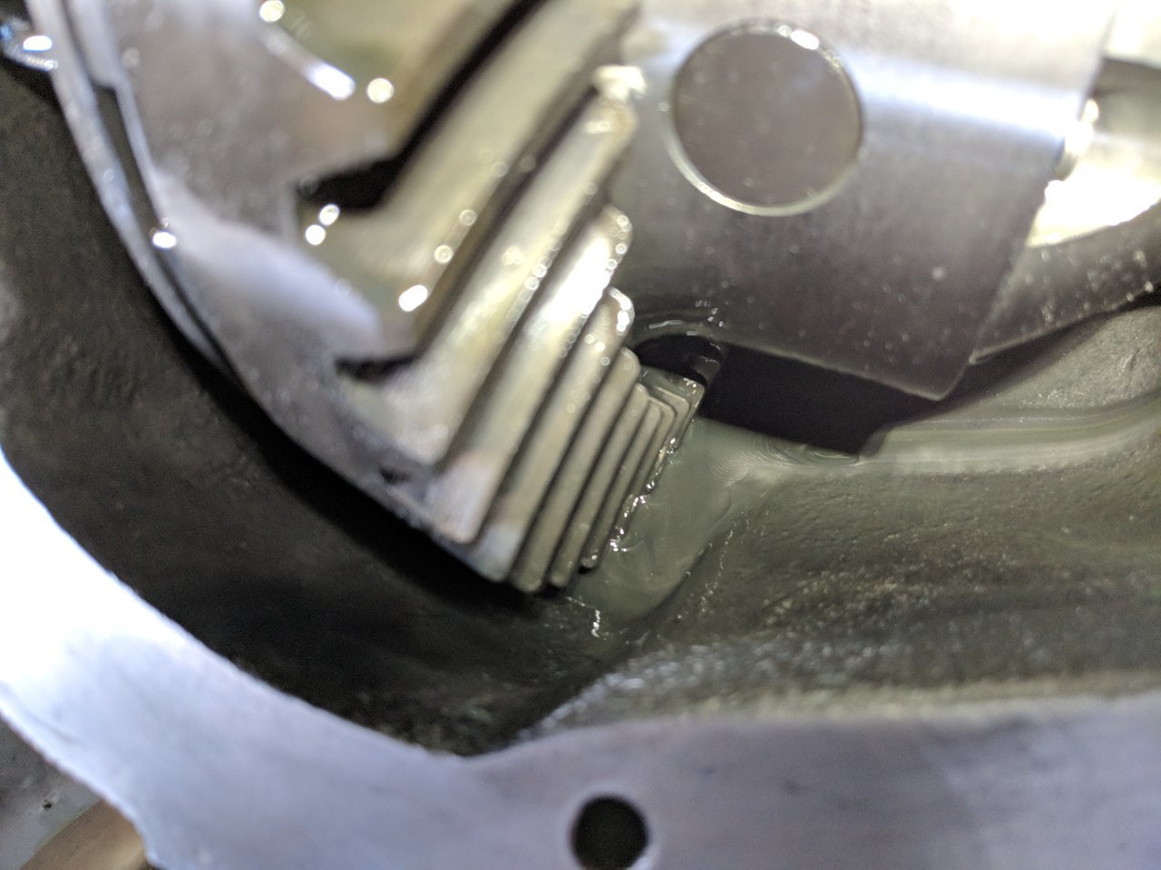 MVIMG_20180124_125507.jpg