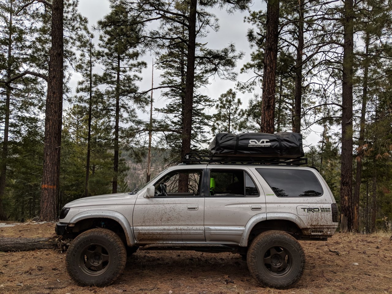 MVIMG_20180310_123538.jpg