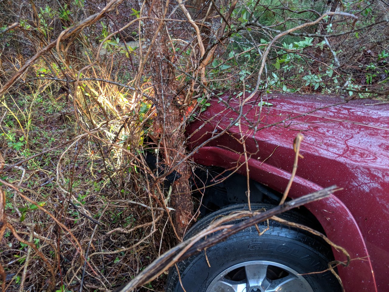 MVIMG_20180312_080307.jpg