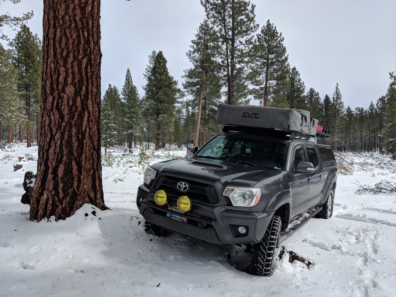 MVIMG_20180324_135712.jpg