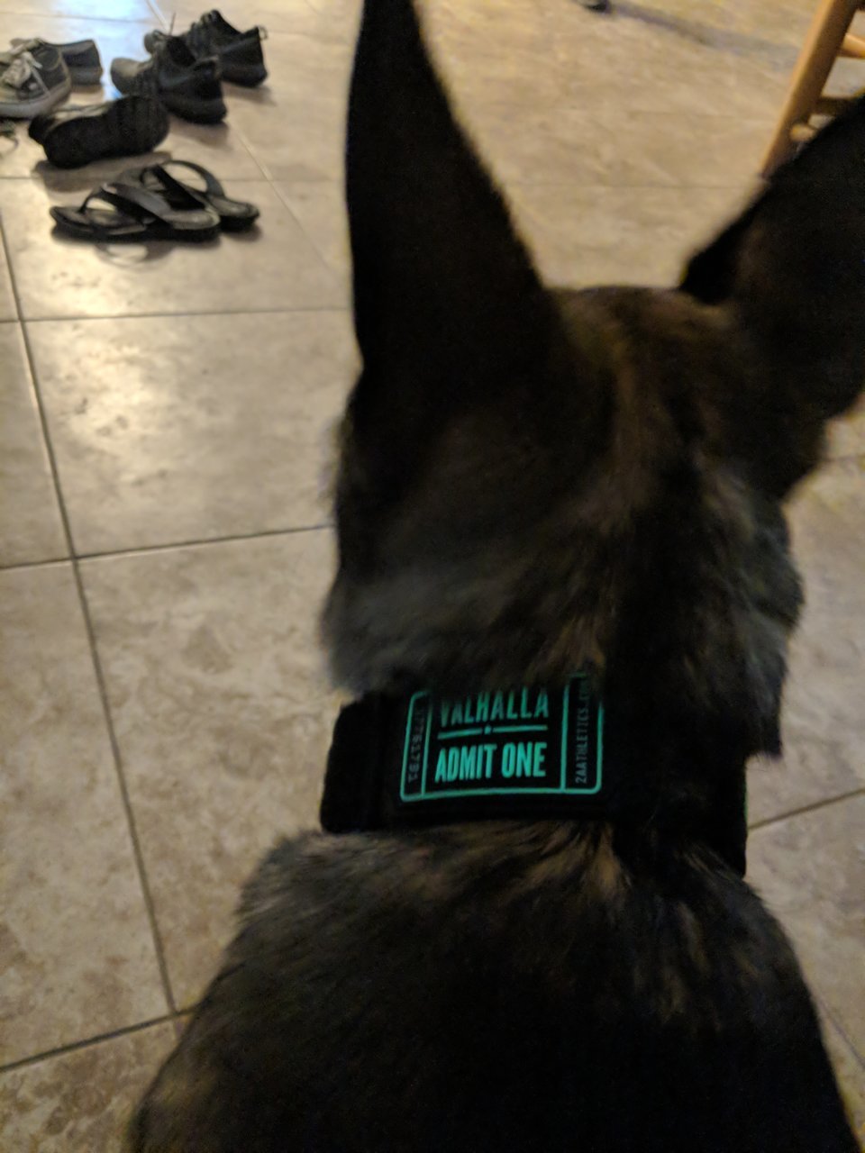 MVIMG_20180407_183259.jpg