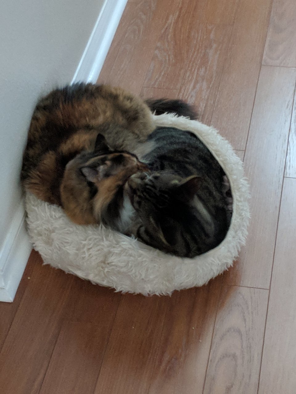 MVIMG_20180417_155547.jpg
