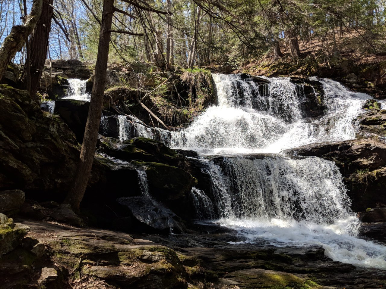MVIMG_20180505_140341.jpg