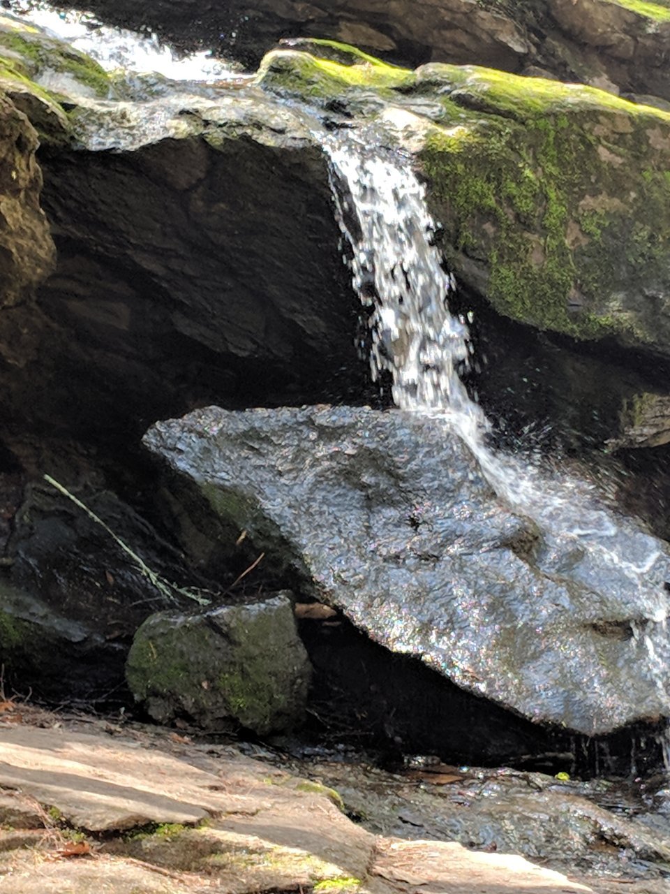 MVIMG_20180505_140447.jpg