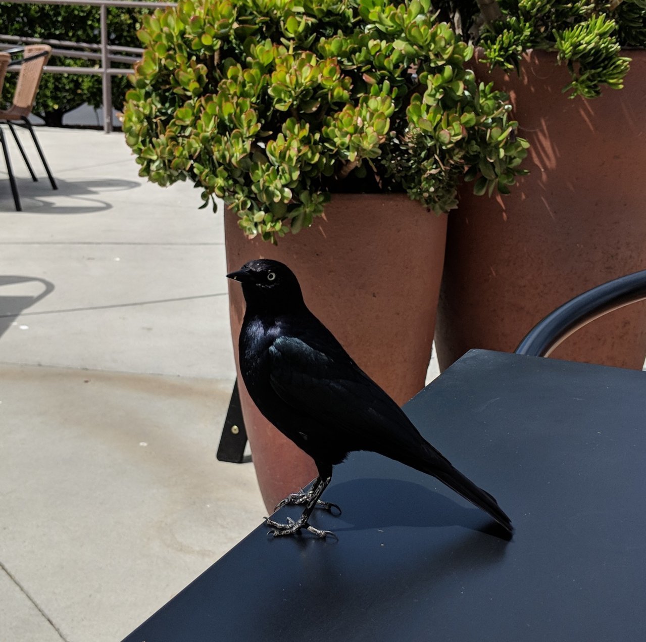 MVIMG_20180517_145725.jpg