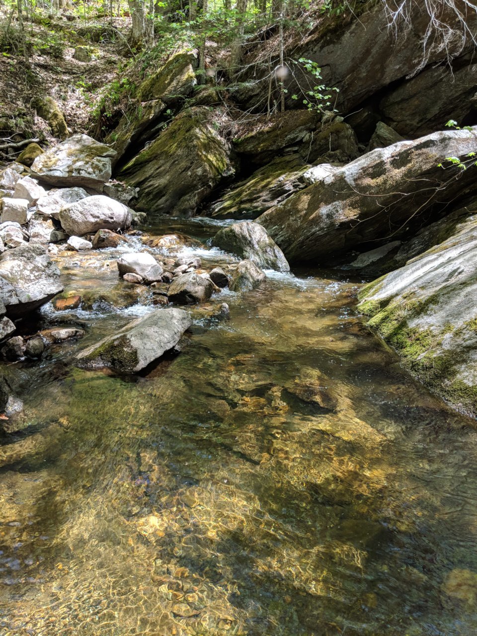 MVIMG_20180518_115719.jpg