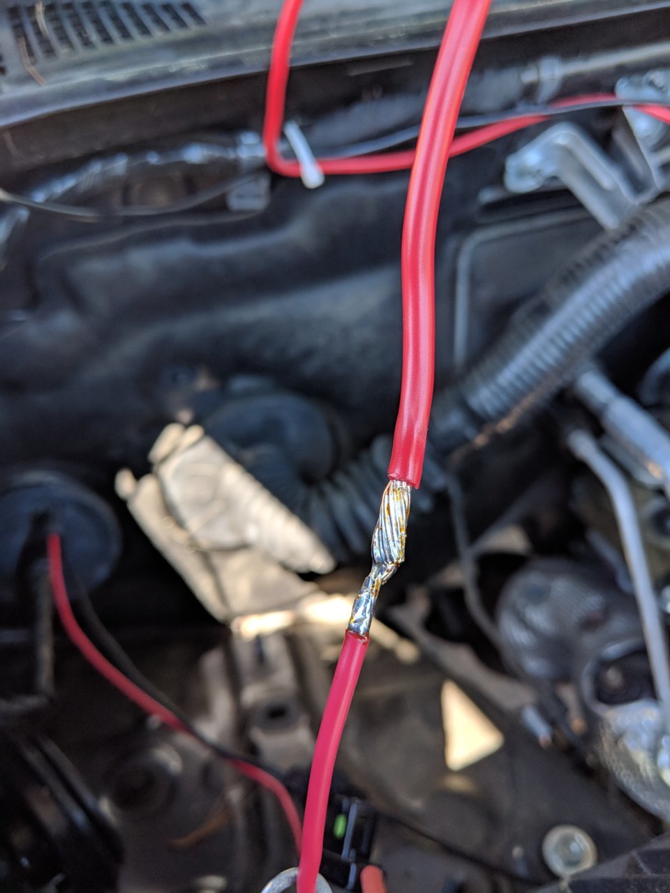 MVIMG_20180622_104203.jpg
