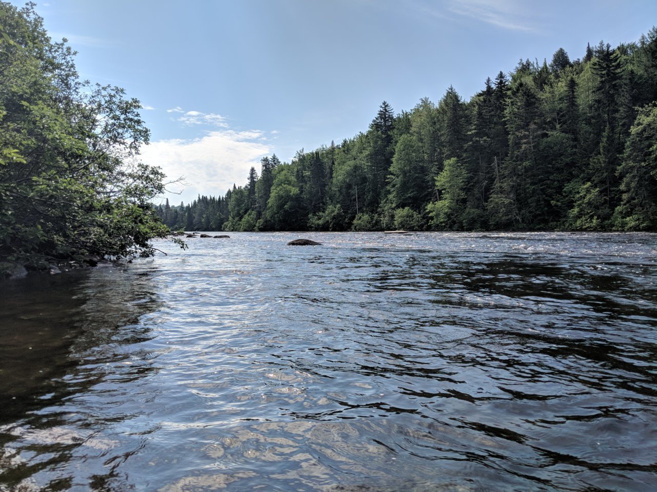 MVIMG_20180630_093905.jpg