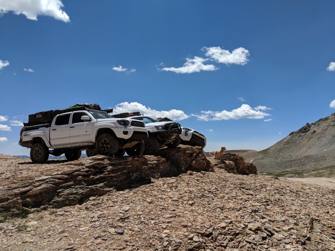 MVIMG_20180701_122513.jpg