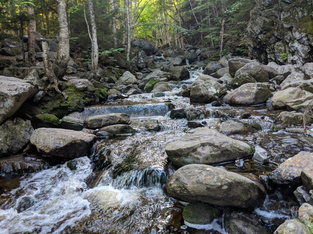 MVIMG_20180703_172059.jpg