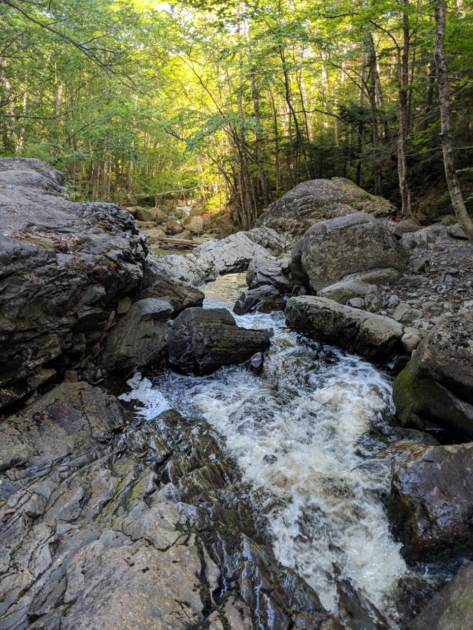 MVIMG_20180703_172108.jpg