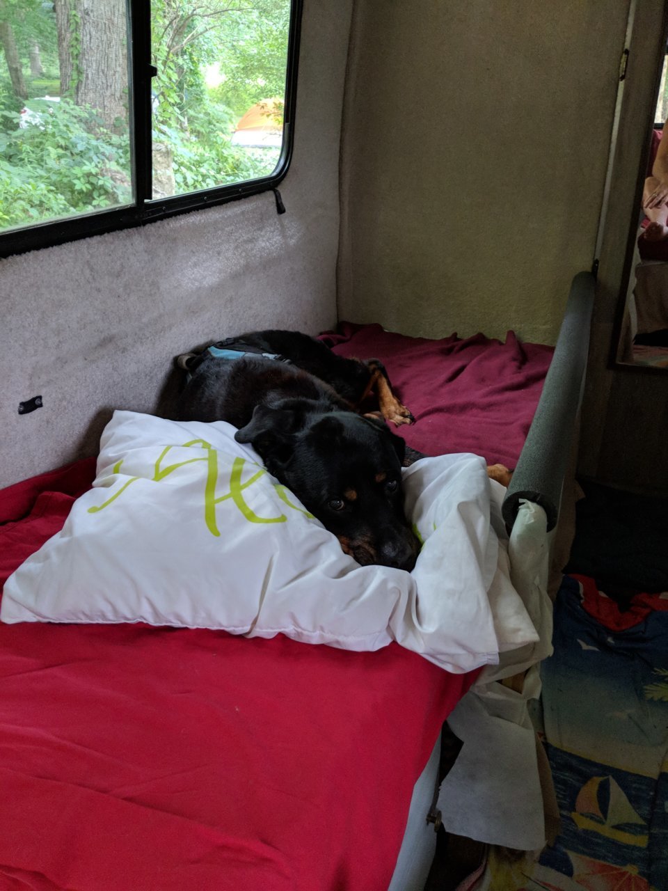MVIMG_20180705_081615.jpg