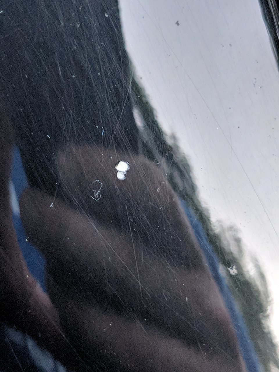 MVIMG_20180707_204052.jpg